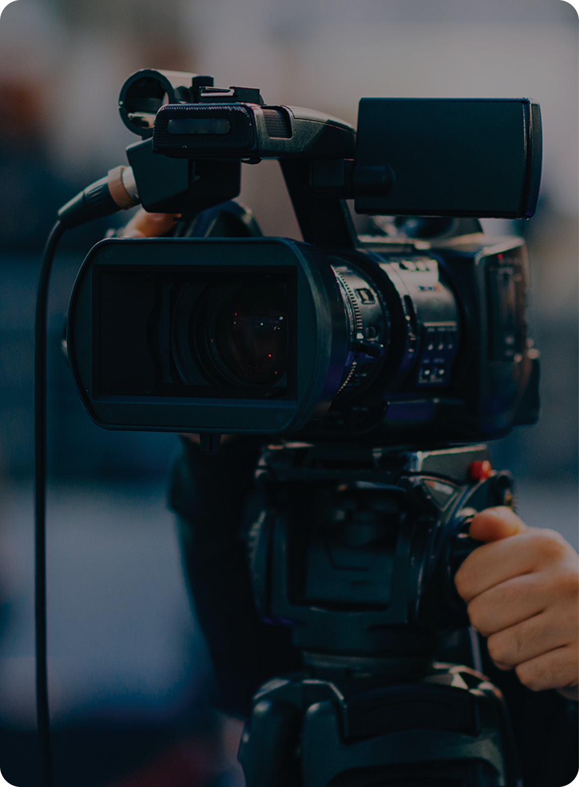 MEDIA